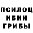Псилоцибиновые грибы мухоморы Caden Desmond