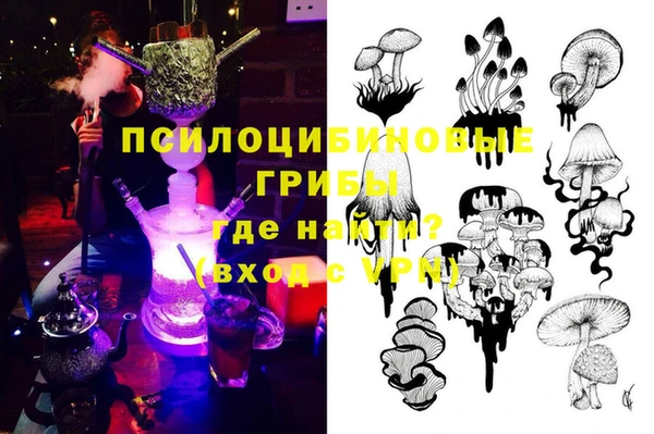 кокс Бородино