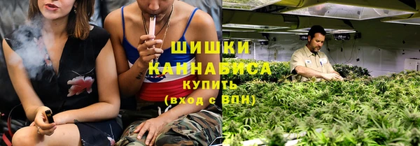 ECSTASY Богородицк